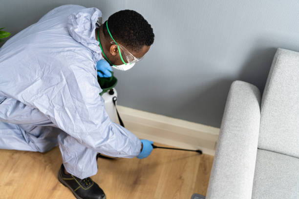 Best Pest Prevention Services  in West Monroe, LA